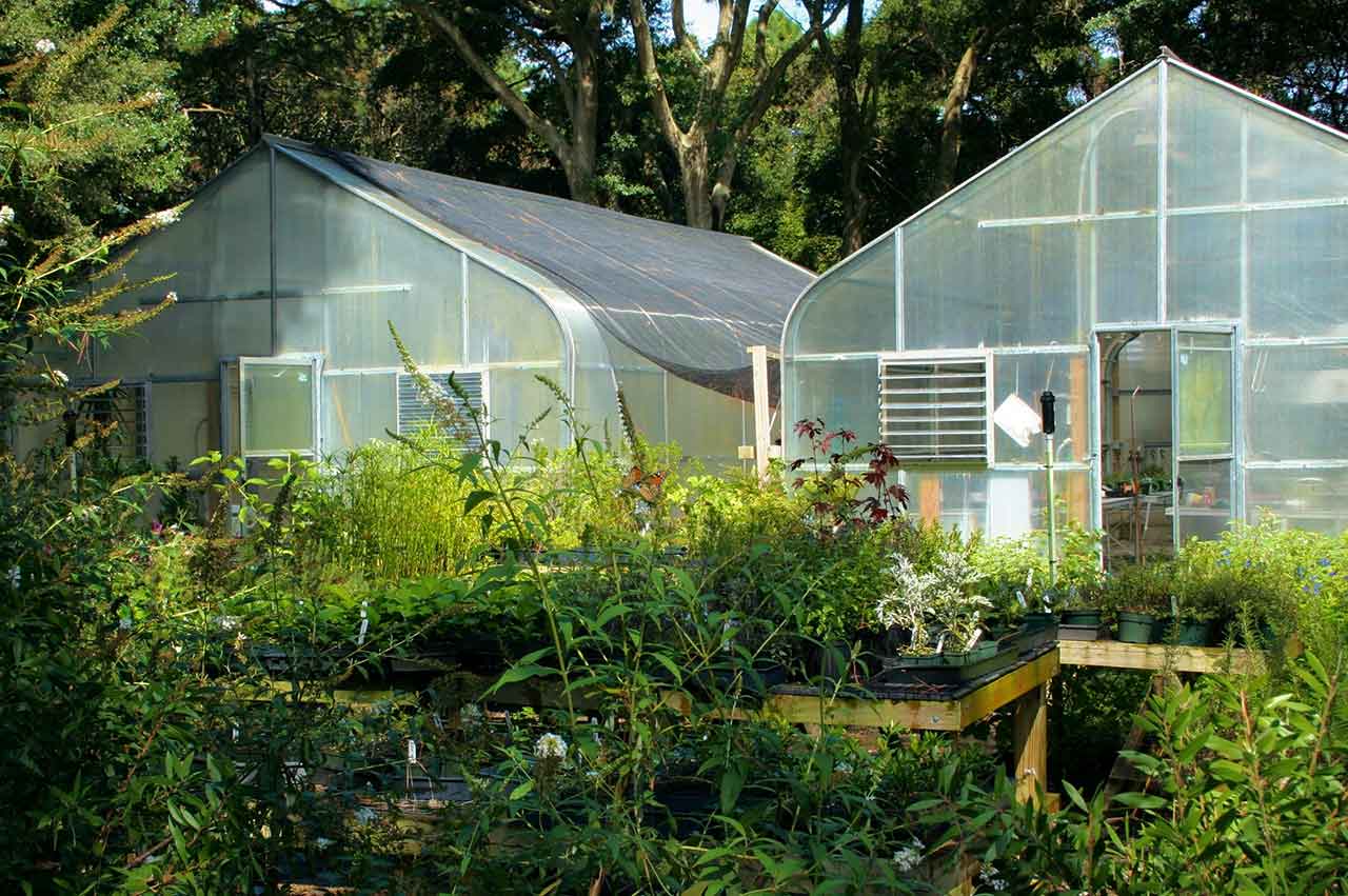 Gewächshaus - clever und effizient 1 Greenhouse Gewächshaus Glasshouse Growbedarf