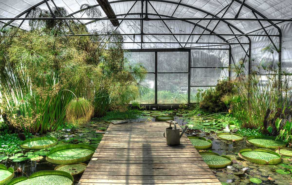 Gewächshaus - clever und effizient 8 Greenhouse Gewächshaus Glasshouse Growbedarf