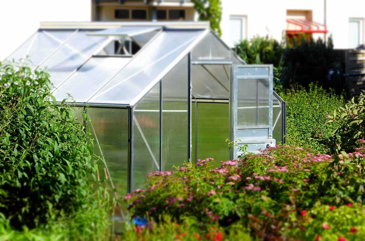 Gewächshaus - clever und effizient 9 Greenhouse Gewächshaus Glasshouse Growbedarf