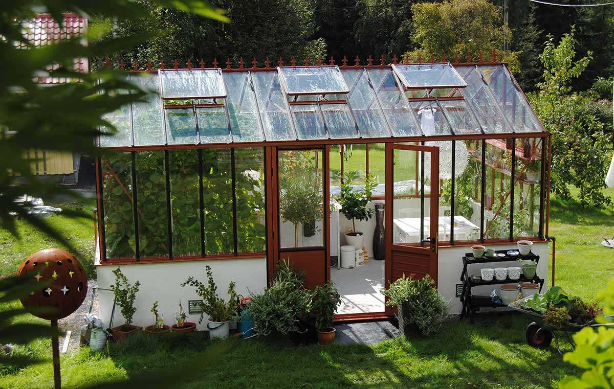 Growbedarf Growing Gewächshaus Greenhouse