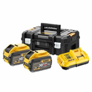 Dewalt Akku-Starter-Set DCB118Y2T-QW, 2 Akkus 216 Wh, Ladegerät, TSTAK-Box II