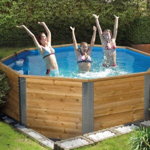 Massivholzpool 593 mit Leiter