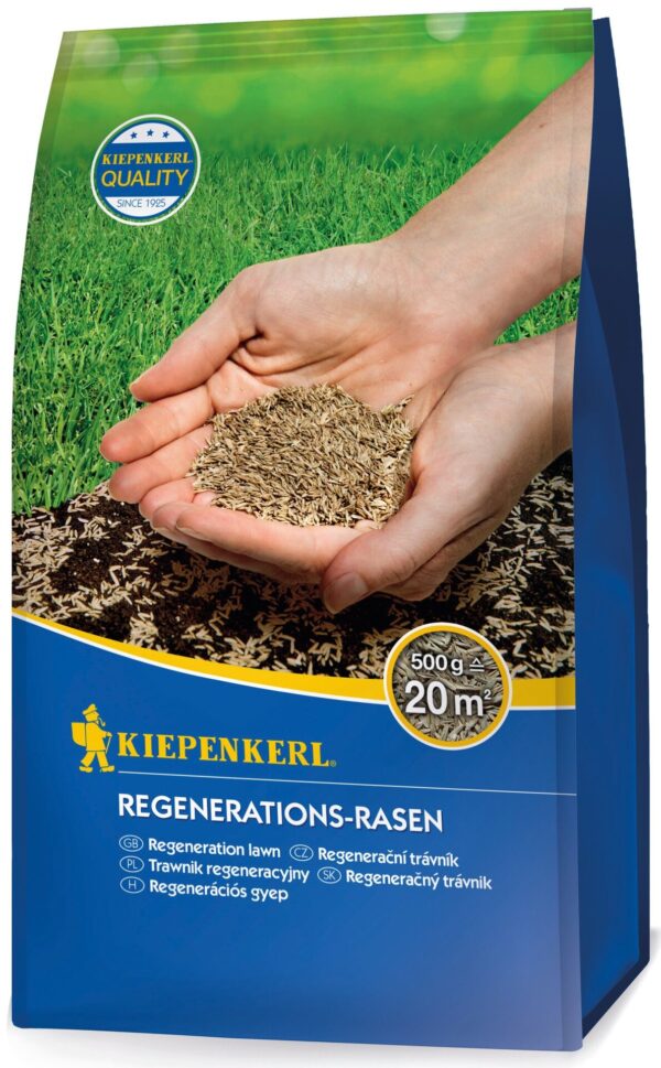 Regenerations-Rasensamen