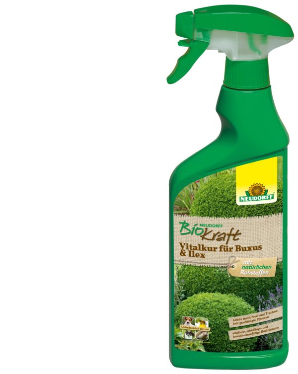 BioKraft Vitalkur für Buxus und Ilex anwendungsfertig 500ml