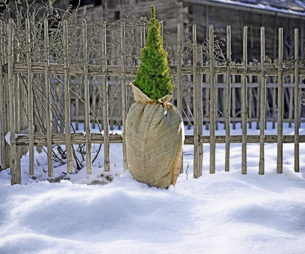 Jute-Sack
