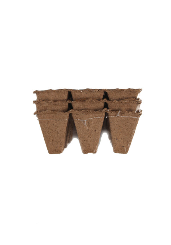 Anzuchttöpfe quadratisch, 36er Set
