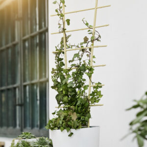 Blumenstütze Bambus, 2 Stk.