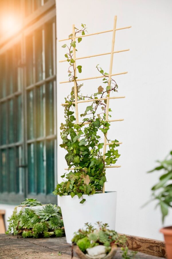 Blumenstütze Bambus