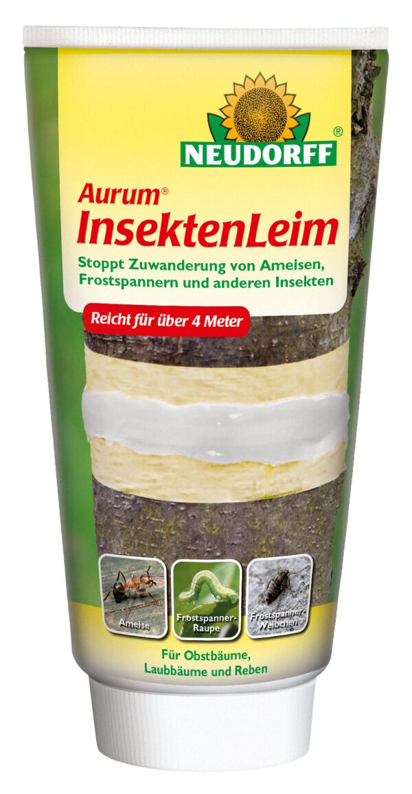 Aurum InsektenLeim
