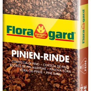 Pinien-Rinde