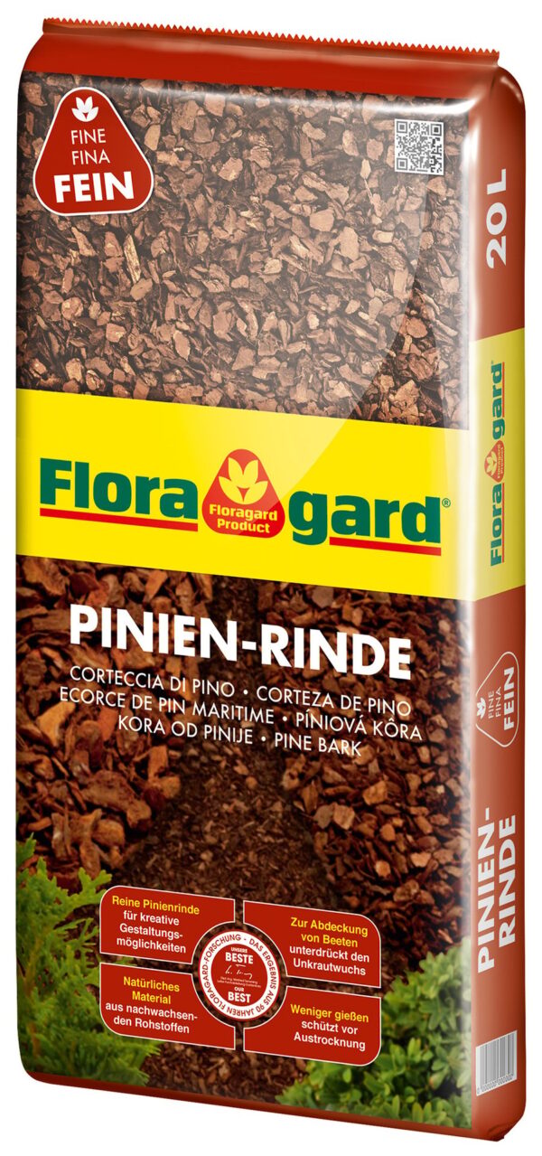 Pinien-Rinde
