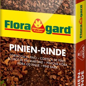 Pinien-Rinde