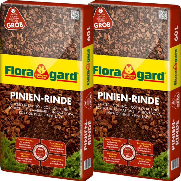 Pinien-Rinde