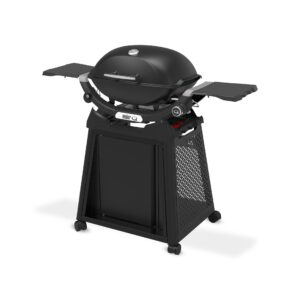 Q2200N Gasgrill mit Rollwagen
