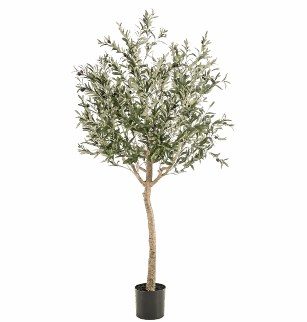 Künstlicher Olivenbaum | Olea europaea | +/- 180cm | ø 15cm Topf