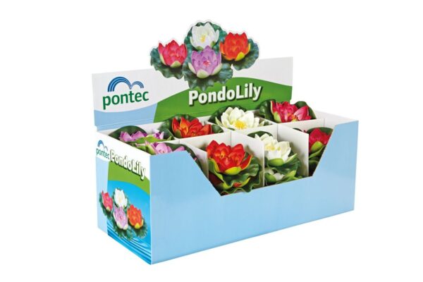 Pontec Pondolily