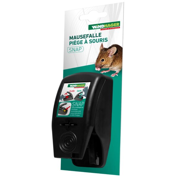 Mausefalle Snap