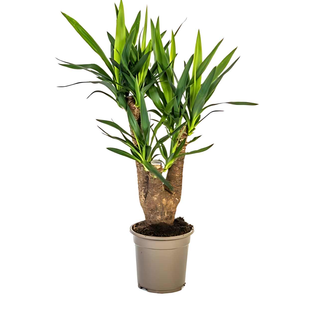 8401 1 png