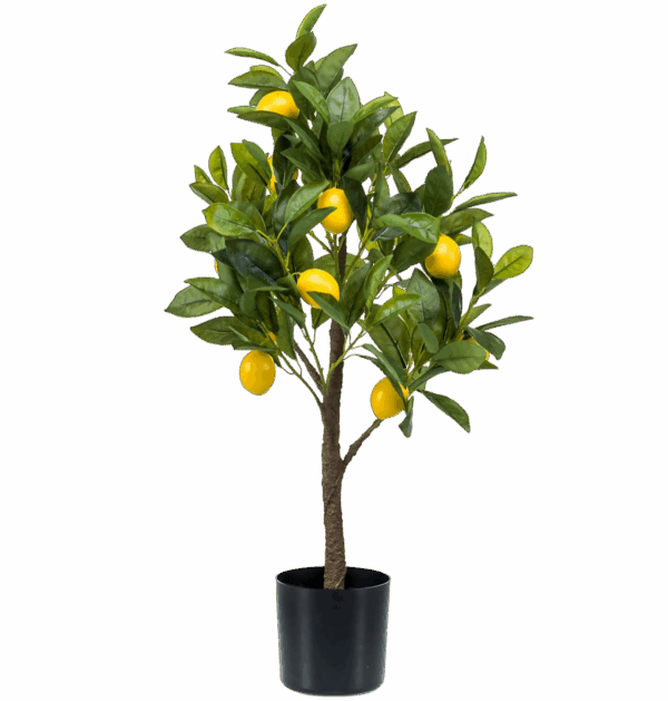 Künstliche Citrus Limonia | Zitrusbaum | +/- 75cm | ø 12cm Topf