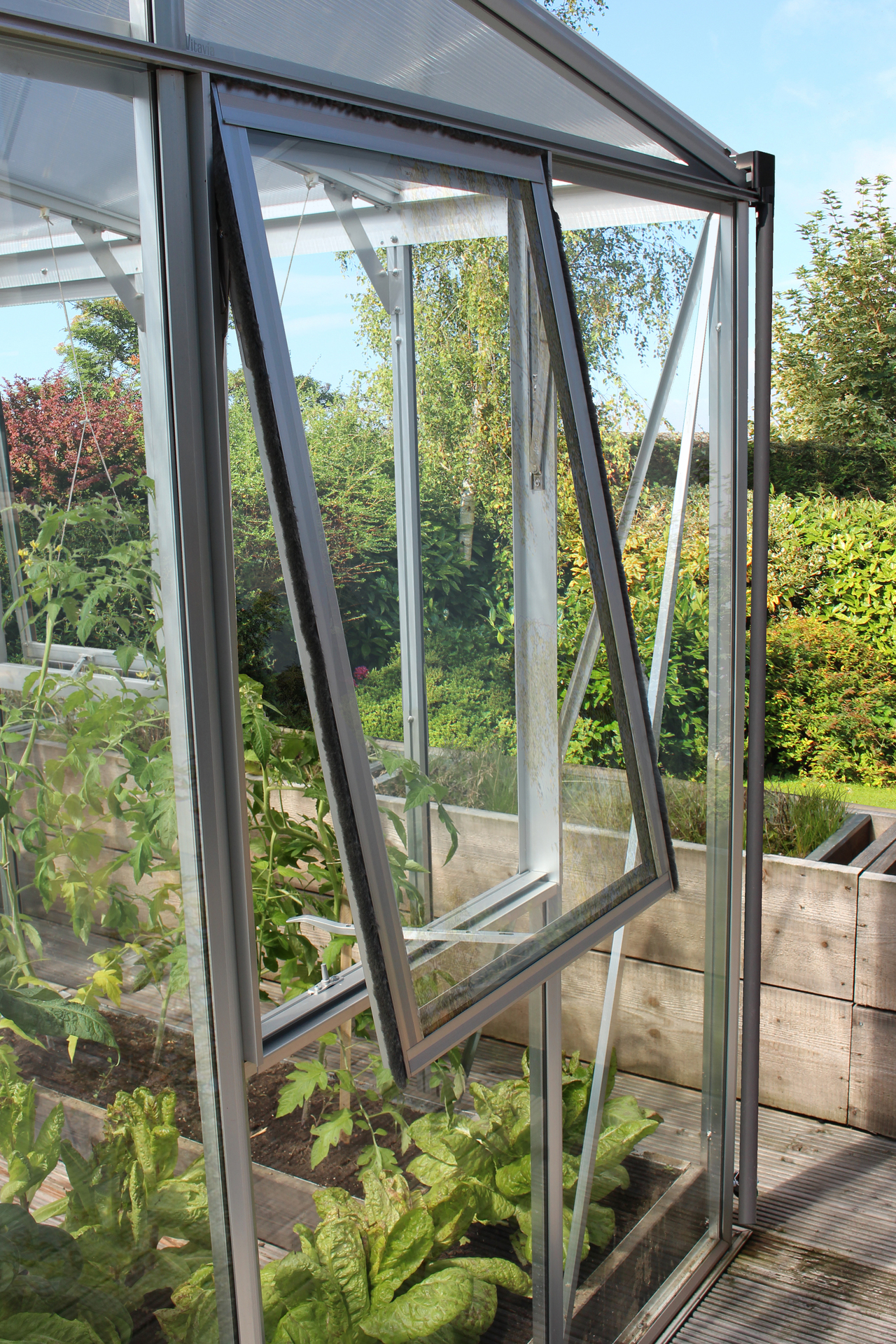Seitenfenster H 9 2067256 seitenfenster h