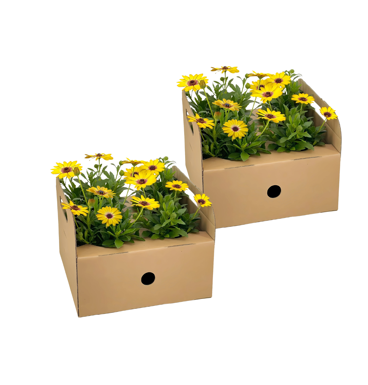 10361 1 png
