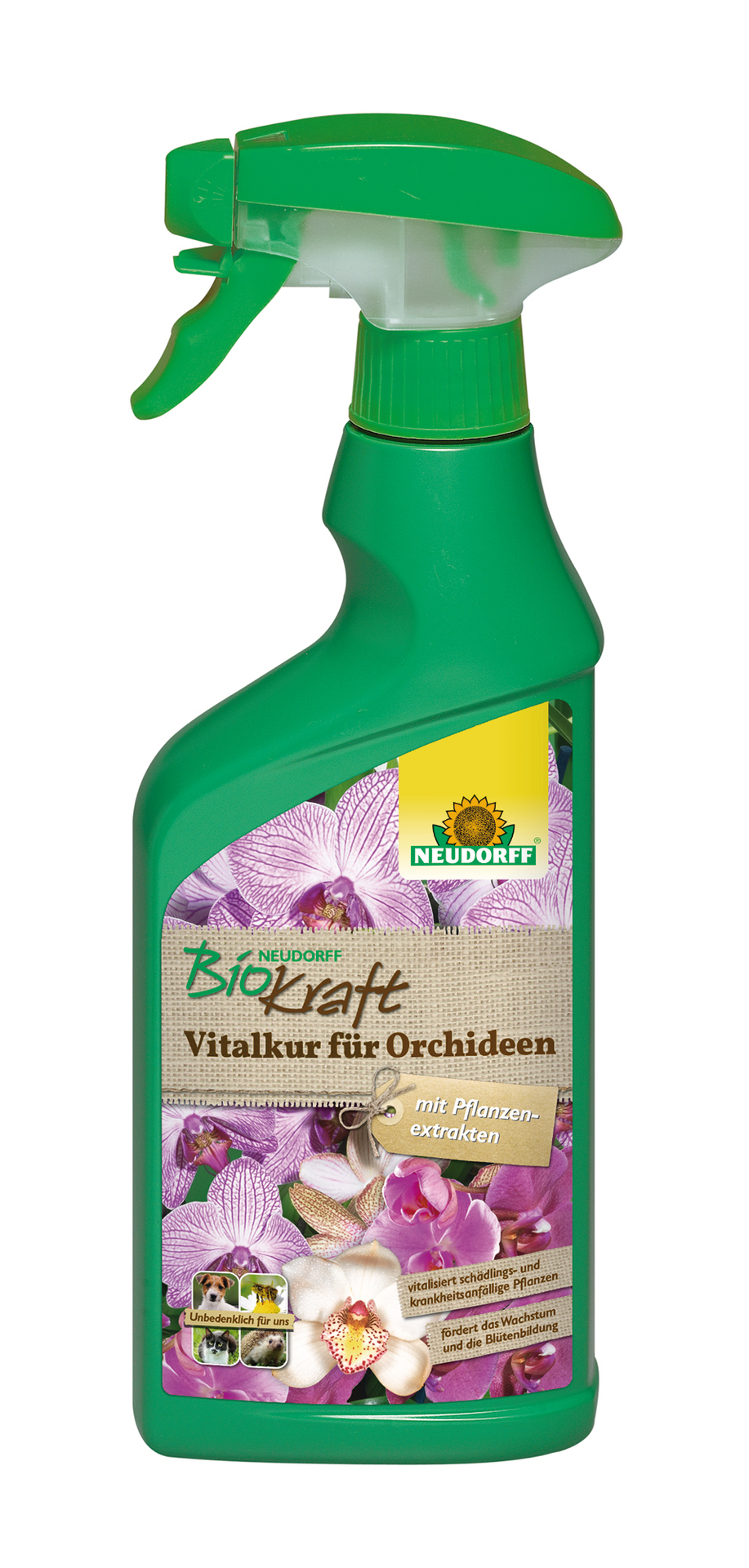 Biokraft Vitalkur für Orchideen anwendungsfertig 500ml 9 2060219 biokraft vitalkur fuer orchideen anwendungsfertig 500ml