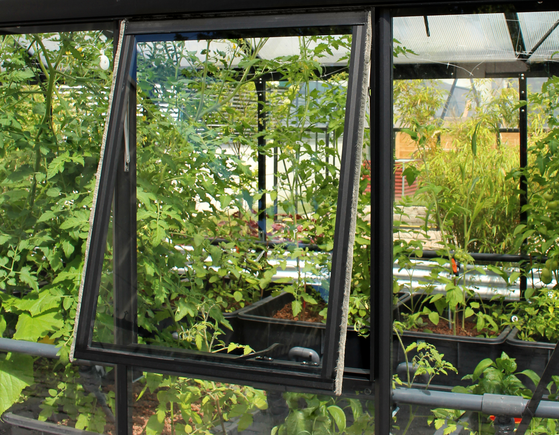 Seitenfenster H 5 2067259 seitenfenster h
