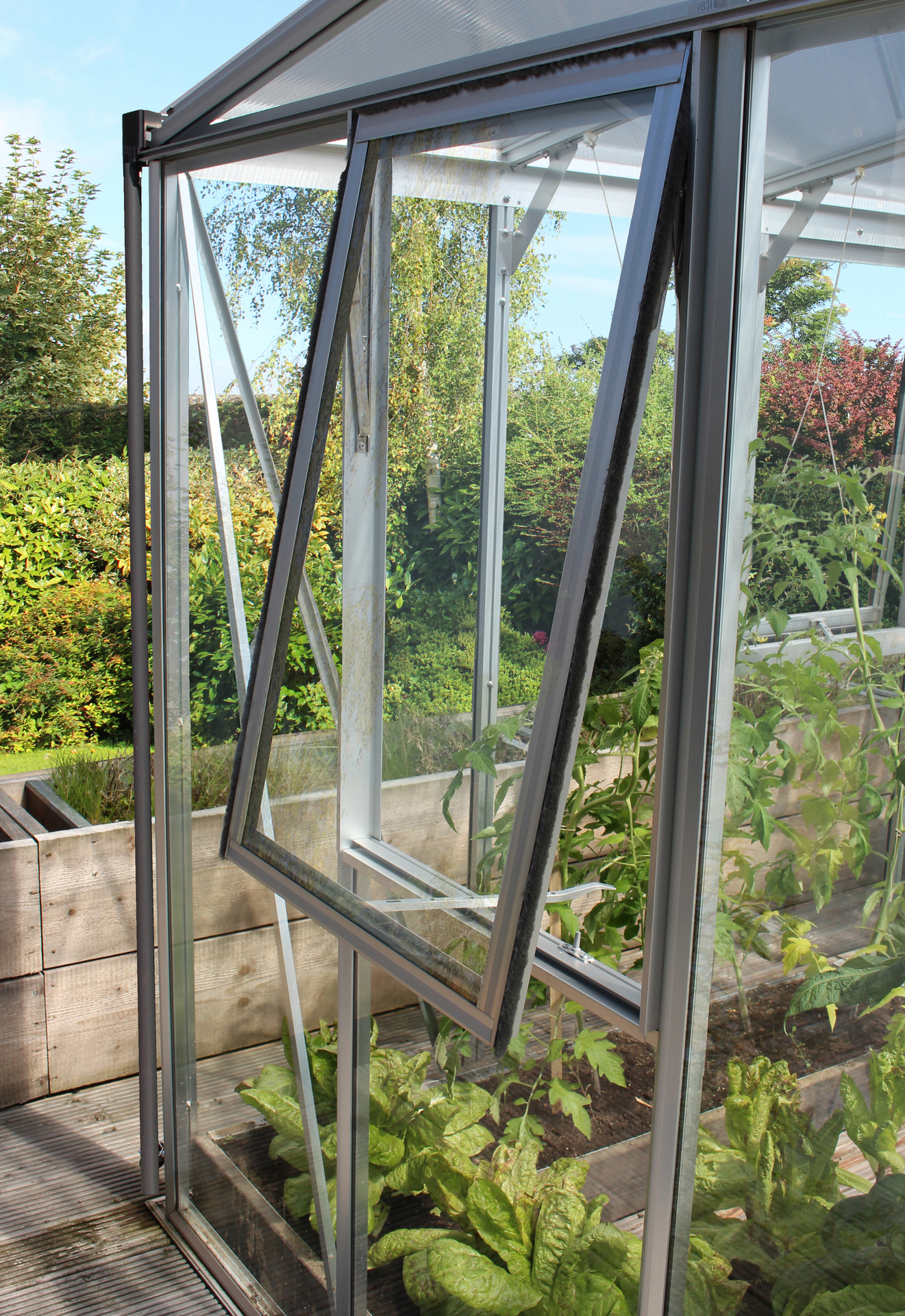 Seitenfenster Z 1 2067268 seitenfenster z