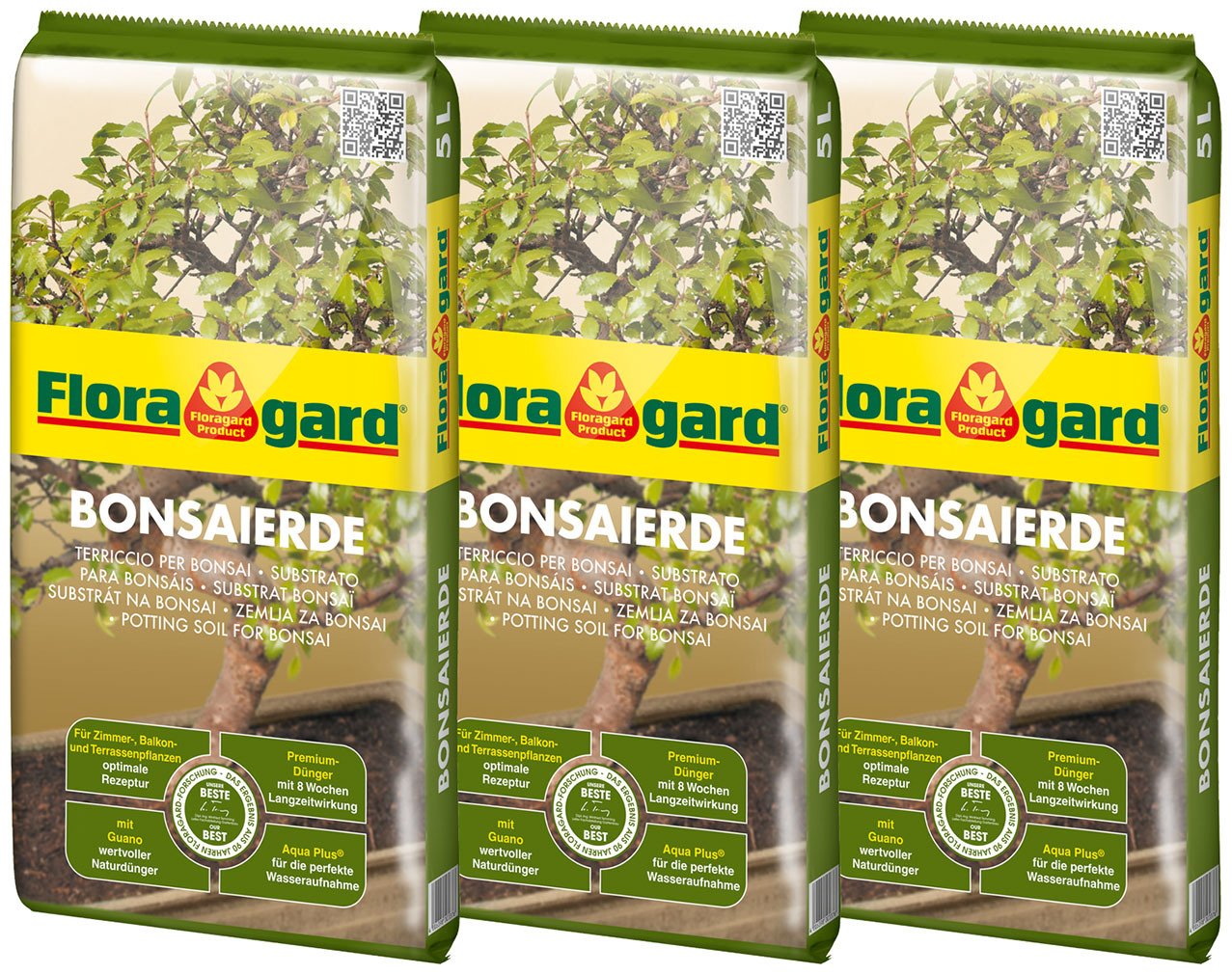 Bonsaierde 7 2459301 bonsaierde