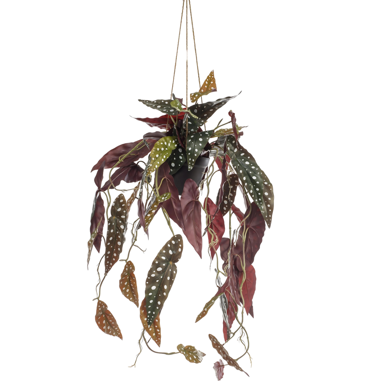 8650 1 png