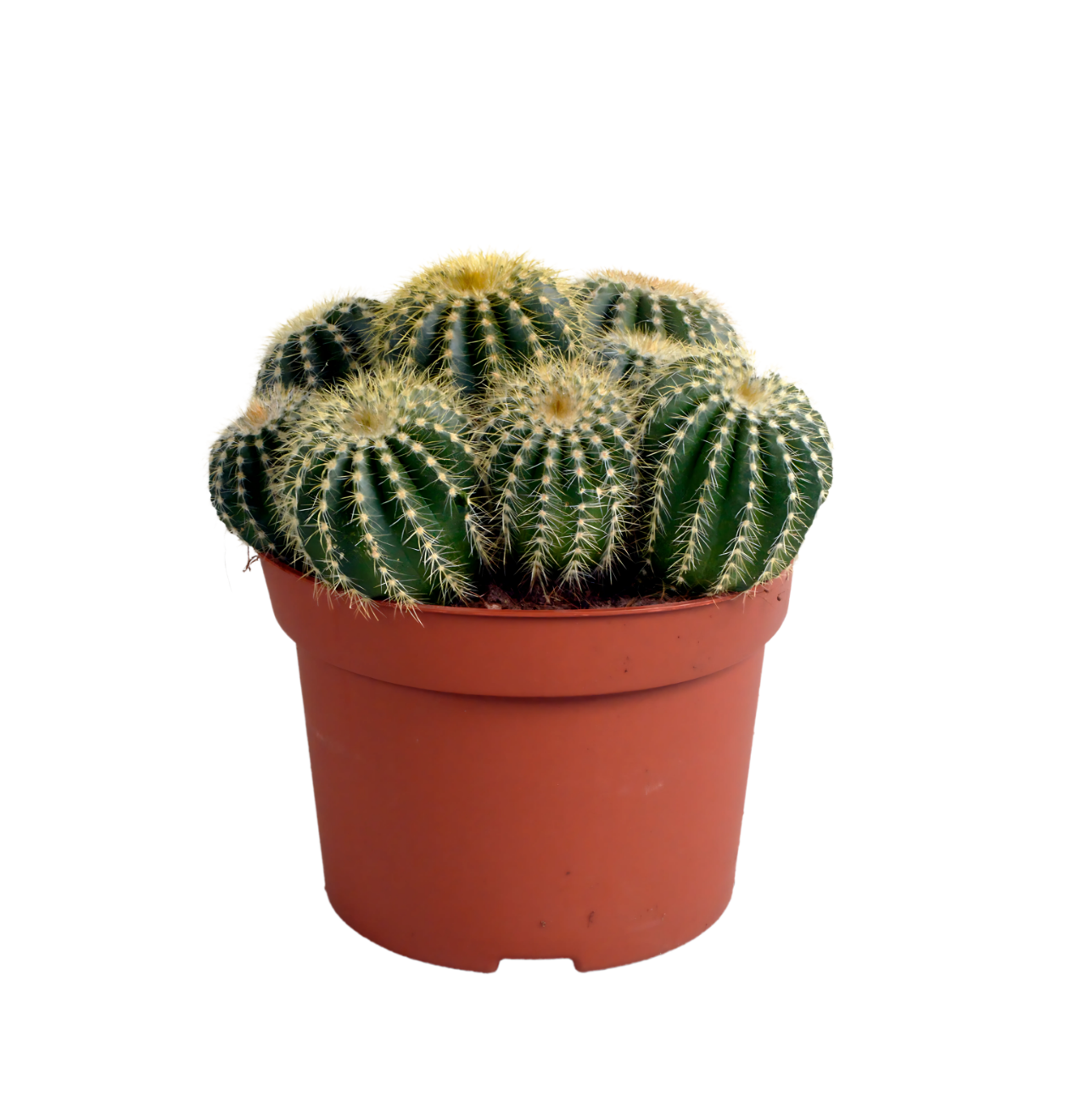 8723 1 png