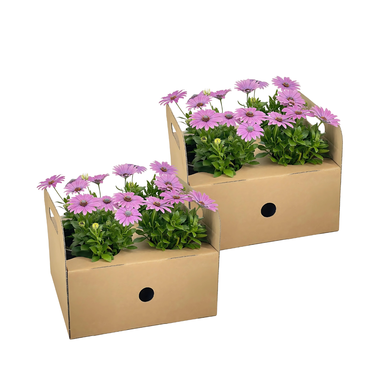 10359 1 png