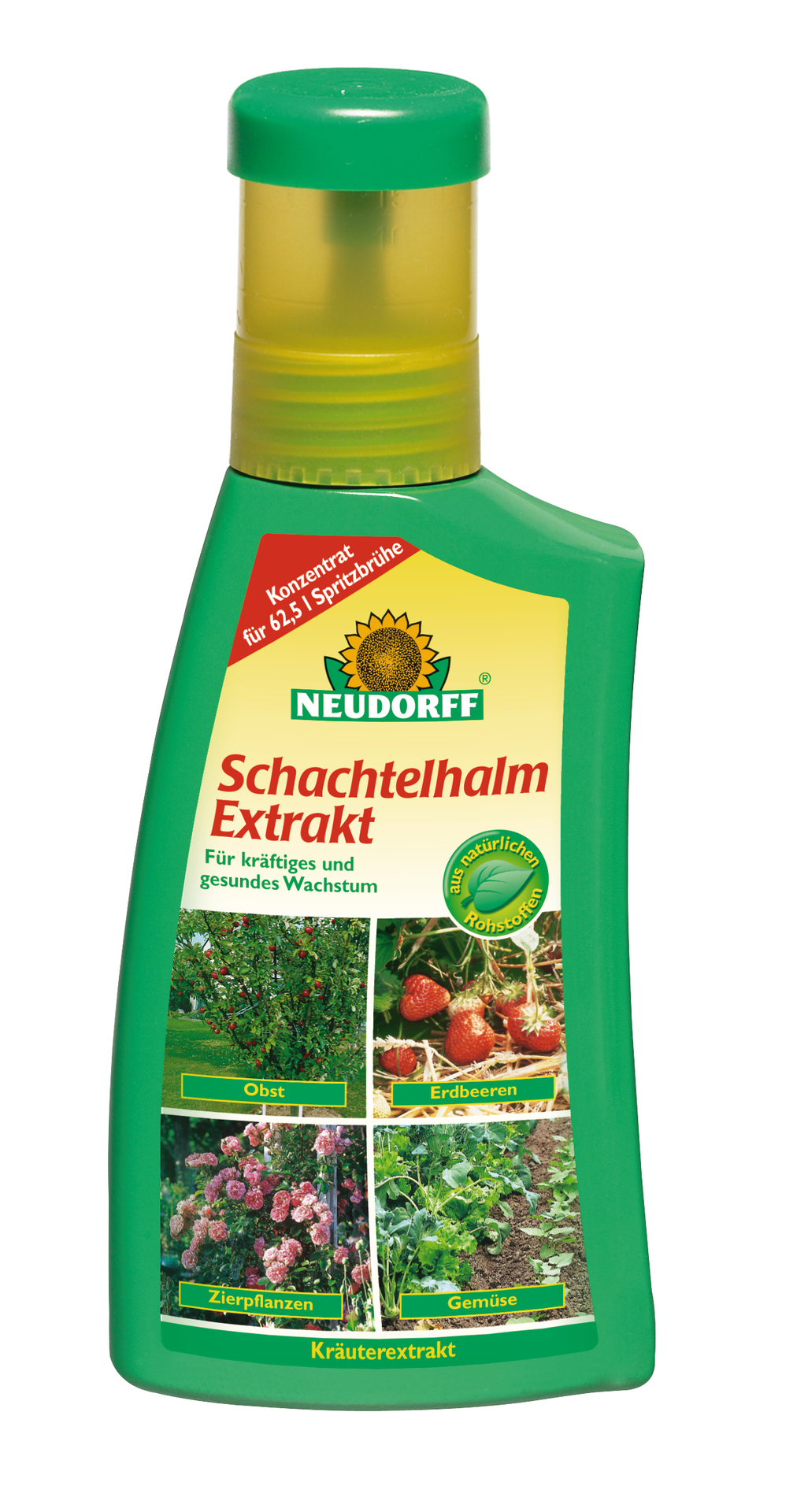 Schachtelhalm Extrakt 5 2156695
