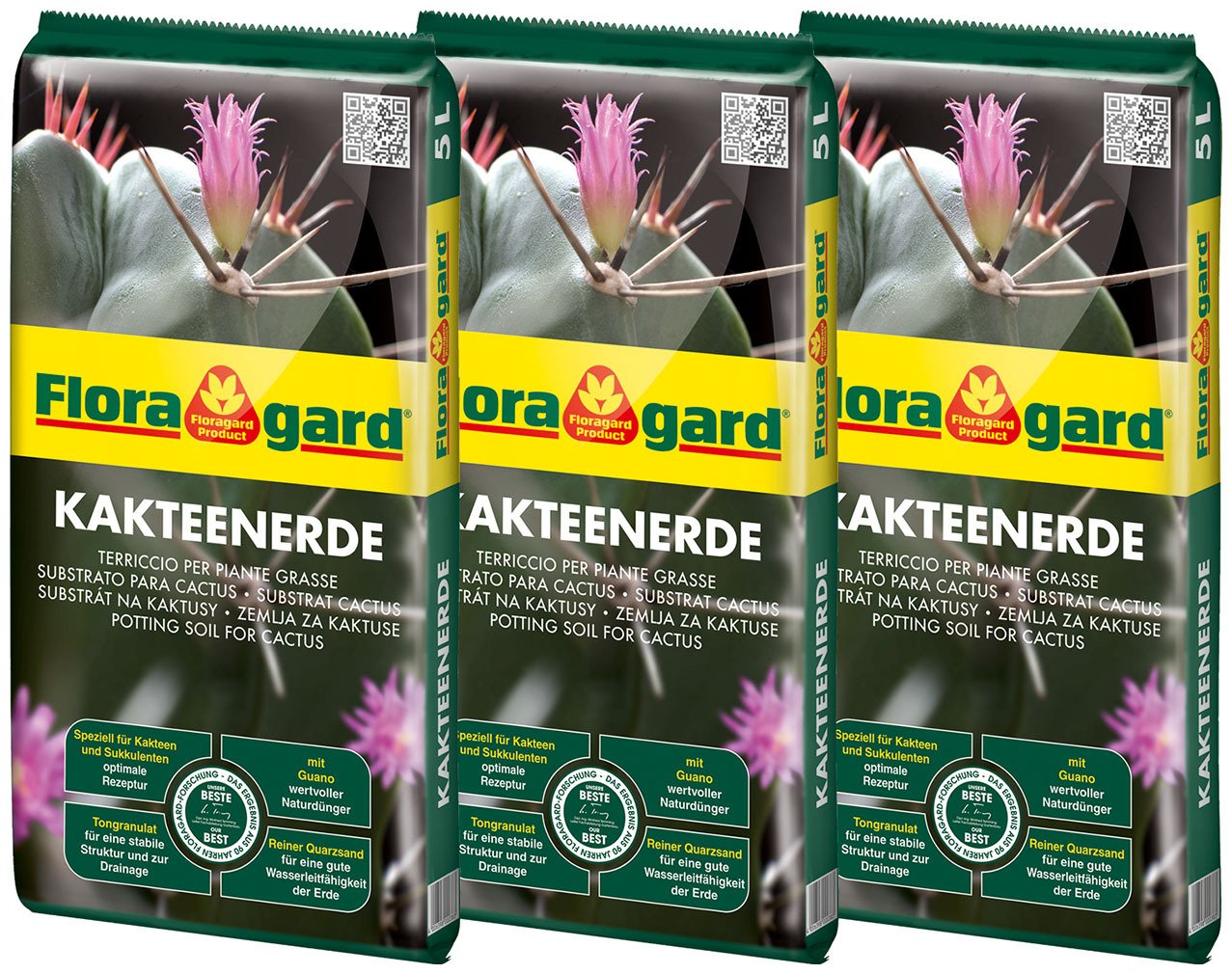 Kakteenerde 4 2459307 kakteenerde