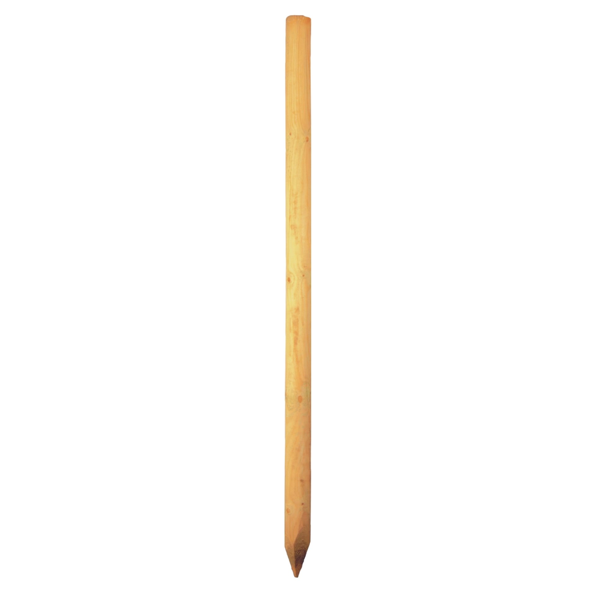 Baumpfahl gefräst, gefast, gespitzt, kdi-grün 1 Baumpfahl  gefräst, gefast, gespitzt, kdi-grün
