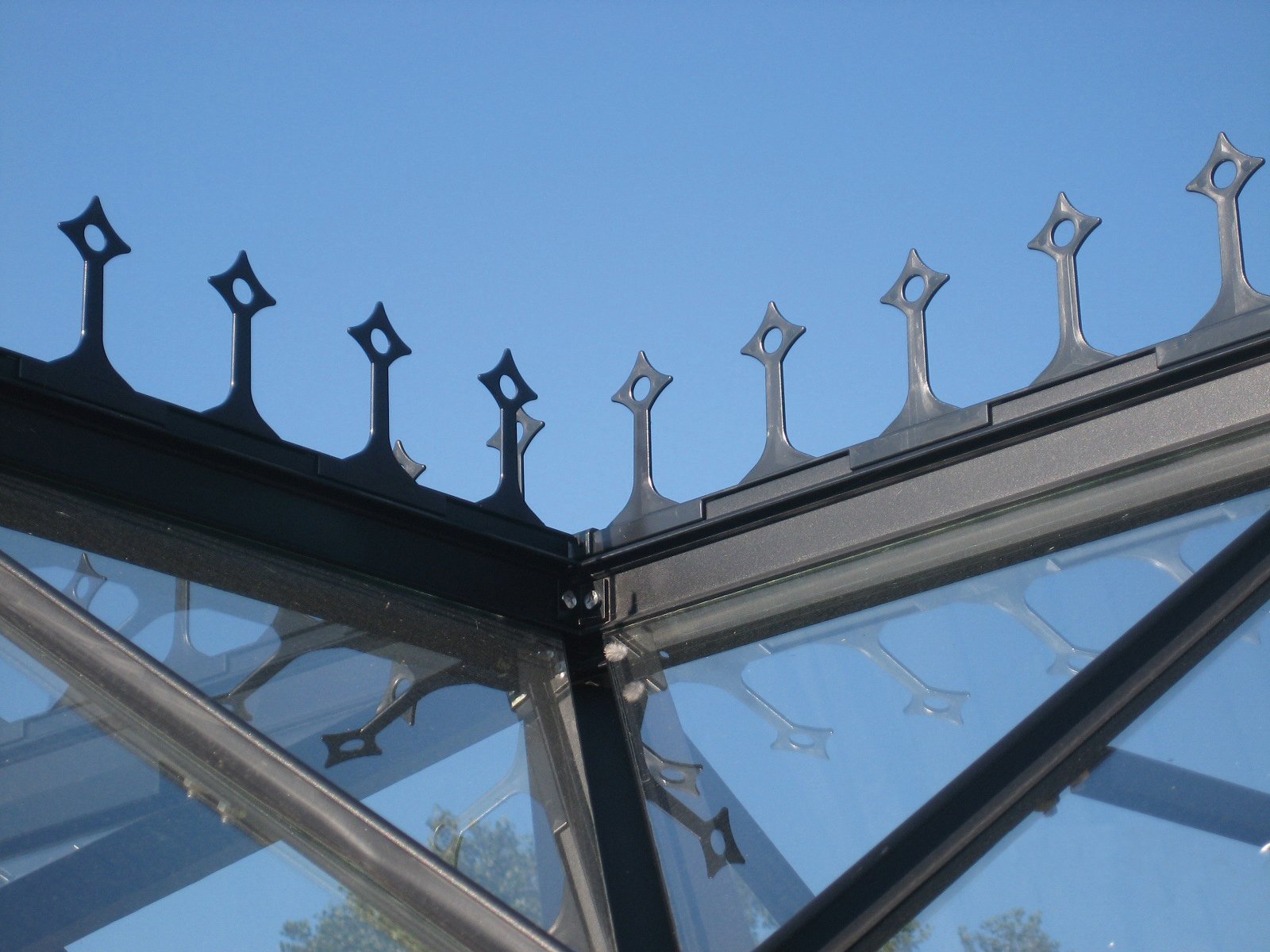 Firstkrone 1 Firstkrone