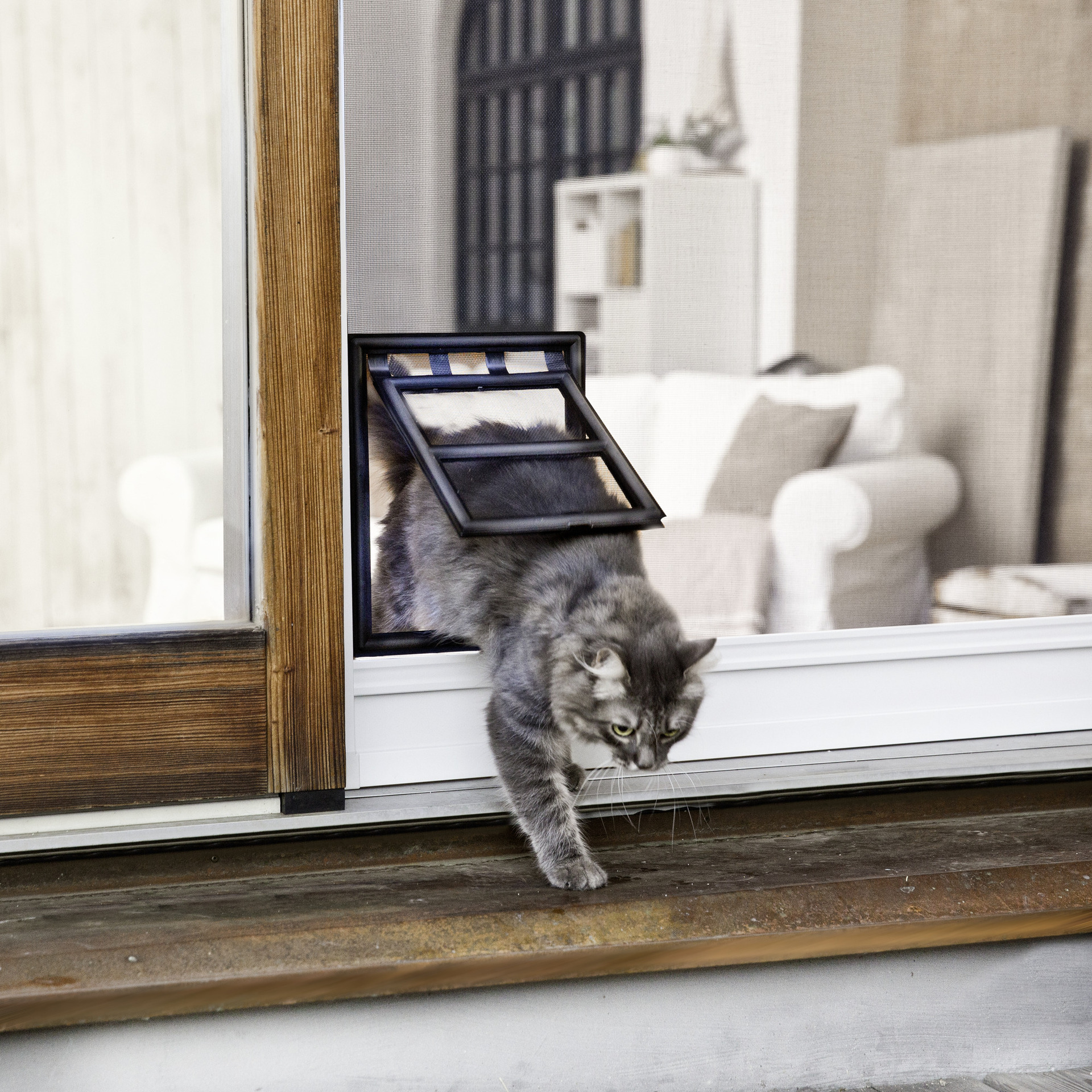 Insektenschutz Katzentür ClipSystem 1 Insektenschutz Katzentür ClipSystem