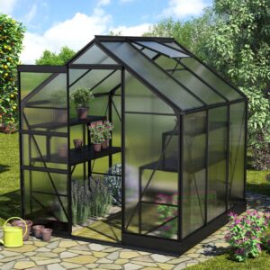 Gewächshaus Apollo 3800