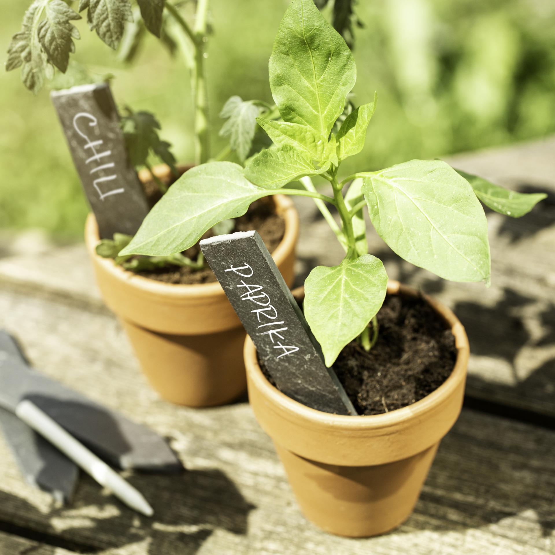 Stecketiketten Schiefer + Kreide 1 Stecketiketten Schiefer + Kreide
