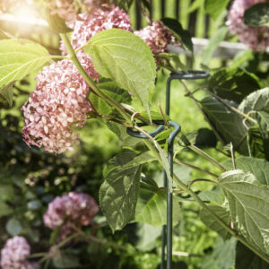 Blumen-/Blütenstütze 7x90cm grün