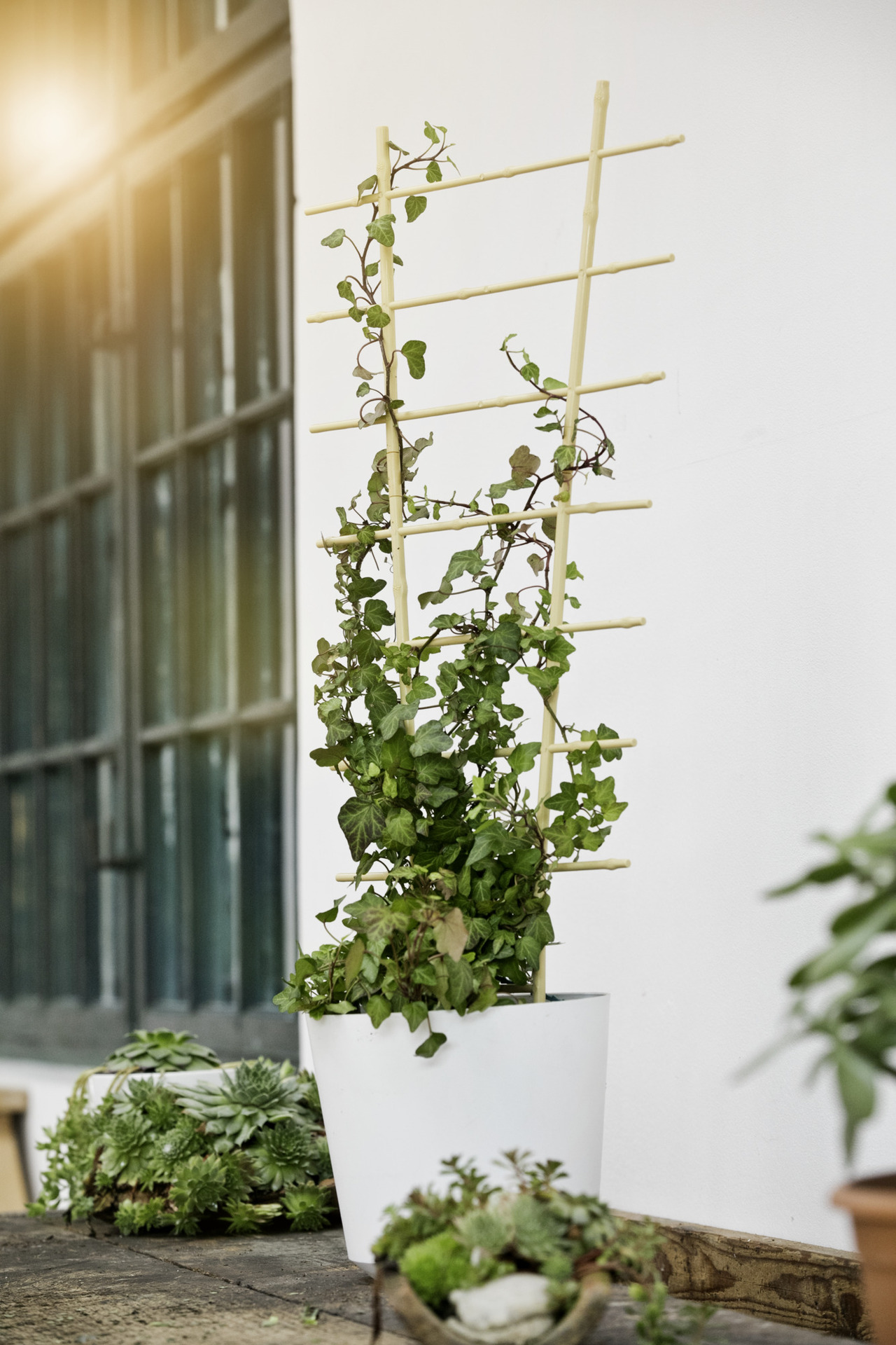 Blumenstütze Bambus, 2 Stk. 1 Blumenstütze Bambus, 2 Stk.