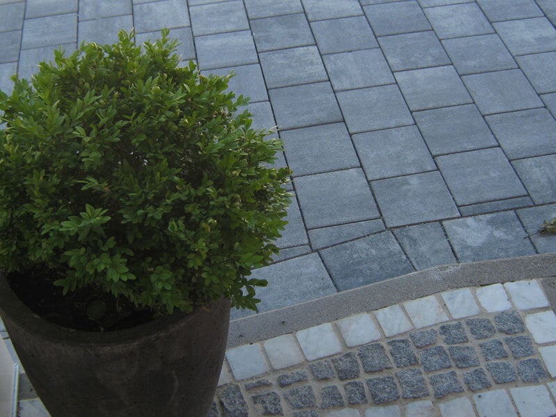 Pflaster Comodoro 1 Pflaster Comodoro