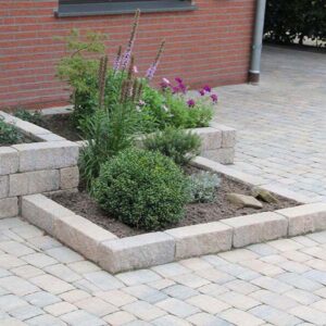 Pflaster Catavi, Mehrformat