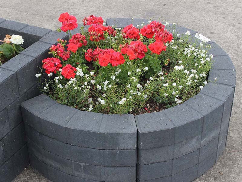 Palisadenbordstein Quadrobord, 50x11,5x8cm 1 Palisadenbordstein Quadrobord, 50x11,5x8cm