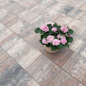 Terrassenplatte Figuera