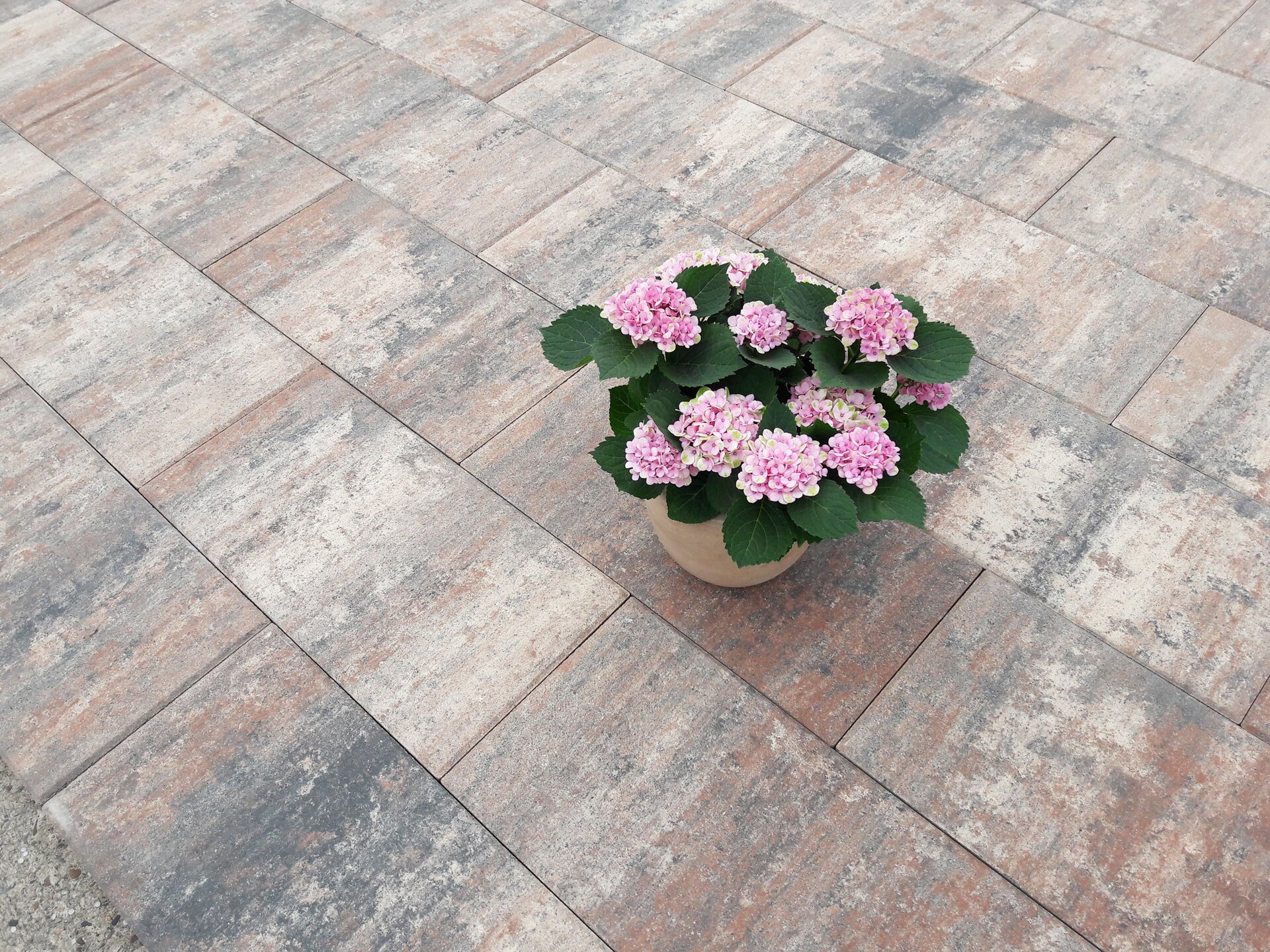 Terrassenplatte Figuera 1 Terrassenplatte Figuera