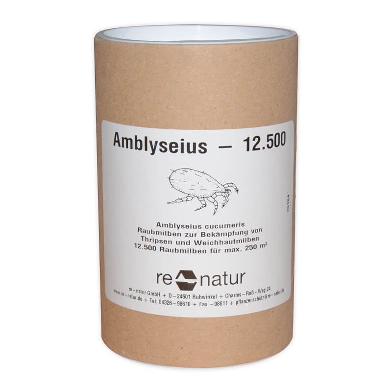 Amblyseius cucumeris (Raubmilben gegen Thrips) Streu, 12.500 1 Amblyseius cucumeris (Raubmilben gegen Thrips) Streu, 12.500