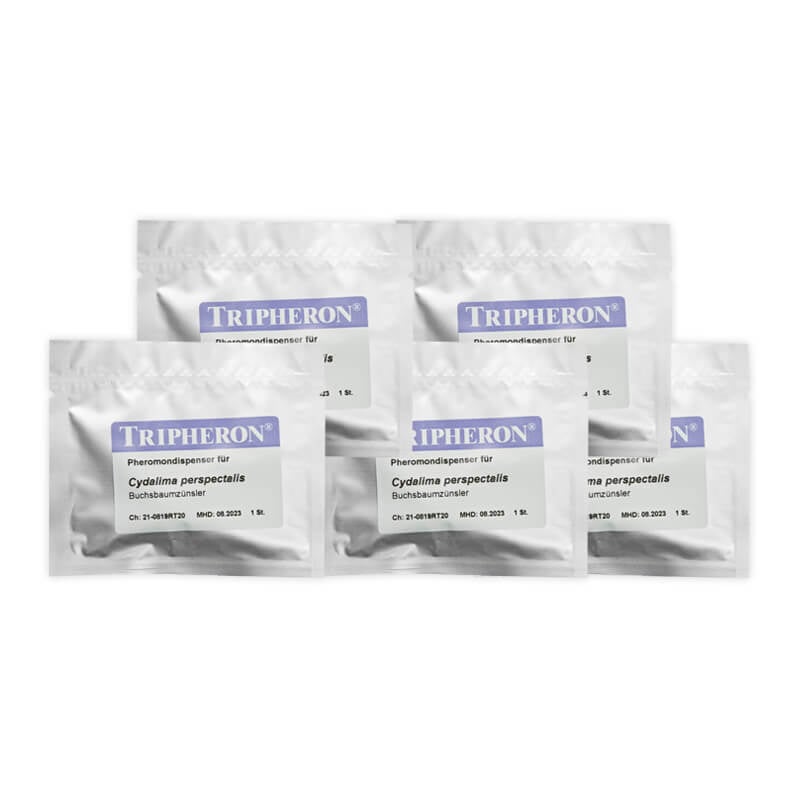 Lockstoff Buchsbaumzünsler Saison-Set 1 Lockstoff Buchsbaumzünsler Saison-Set