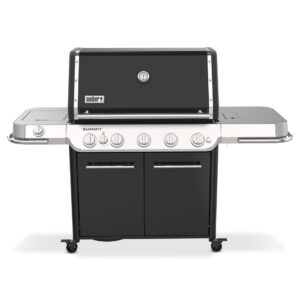 Summit FS38 E Gasgrill, schwarz