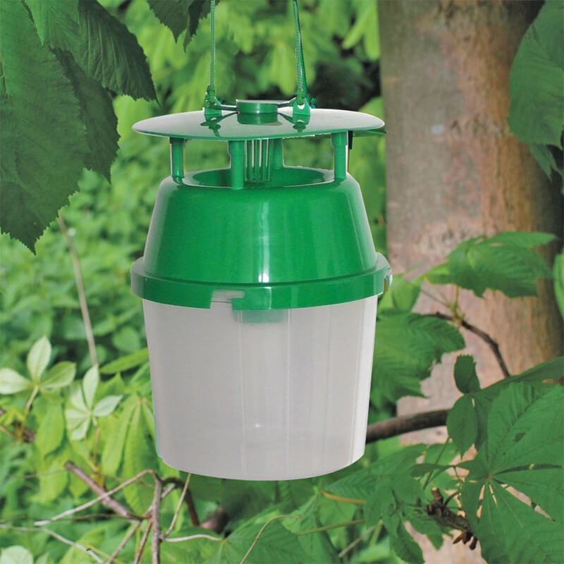 Kastanienminiermottenfalle grün (inkl. Lockstoff) 1 Kastanienminiermottenfalle grün (inkl. Lockstoff)